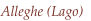 shapeimage_2_link_1