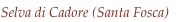 shapeimage_2_link_16