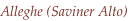 shapeimage_2_link_2