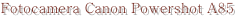 shapeimage_2_link_0