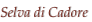 shapeimage_6_link_15