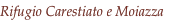 shapeimage_6_link_20