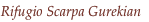 shapeimage_6_link_21