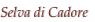 shapeimage_6_link_3
