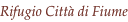 shapeimage_4_link_21