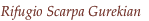 shapeimage_4_link_23