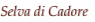 shapeimage_4_link_5