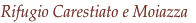 shapeimage_5_link_20