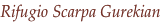 shapeimage_5_link_21