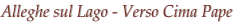shapeimage_5_link_3