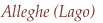 shapeimage_8_link_0