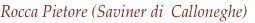 shapeimage_8_link_11