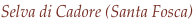 shapeimage_8_link_13